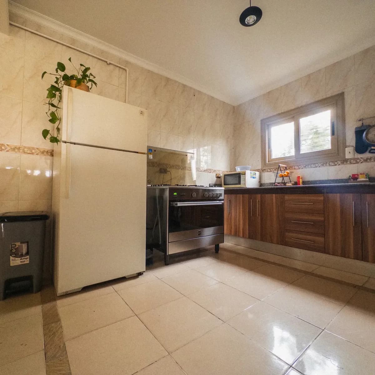 Peaceful Room with Tree View in Maadi - Image 4